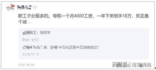 中石化最新爆料,行业变革背后的关键动态与战略布局